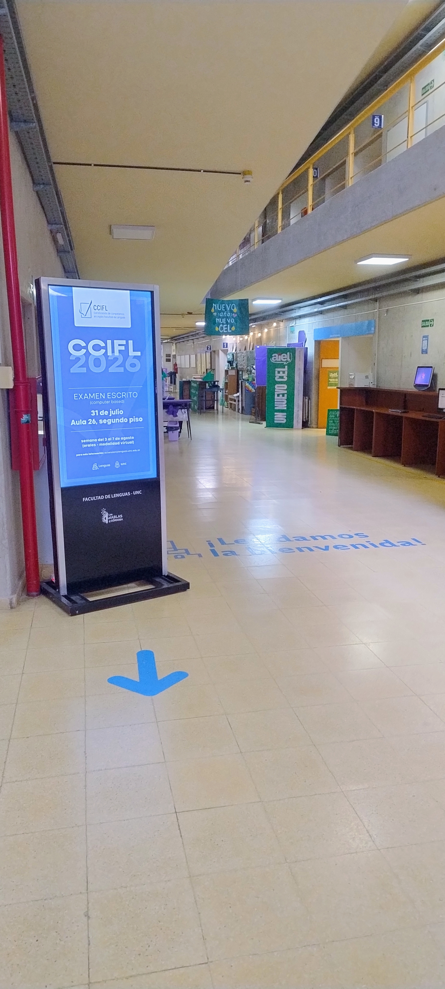 ccifl02.jpg